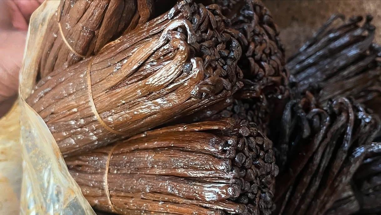 🌿 Exporter la vanille de Madagascar : guide pratique pour les acheteurs professionnels