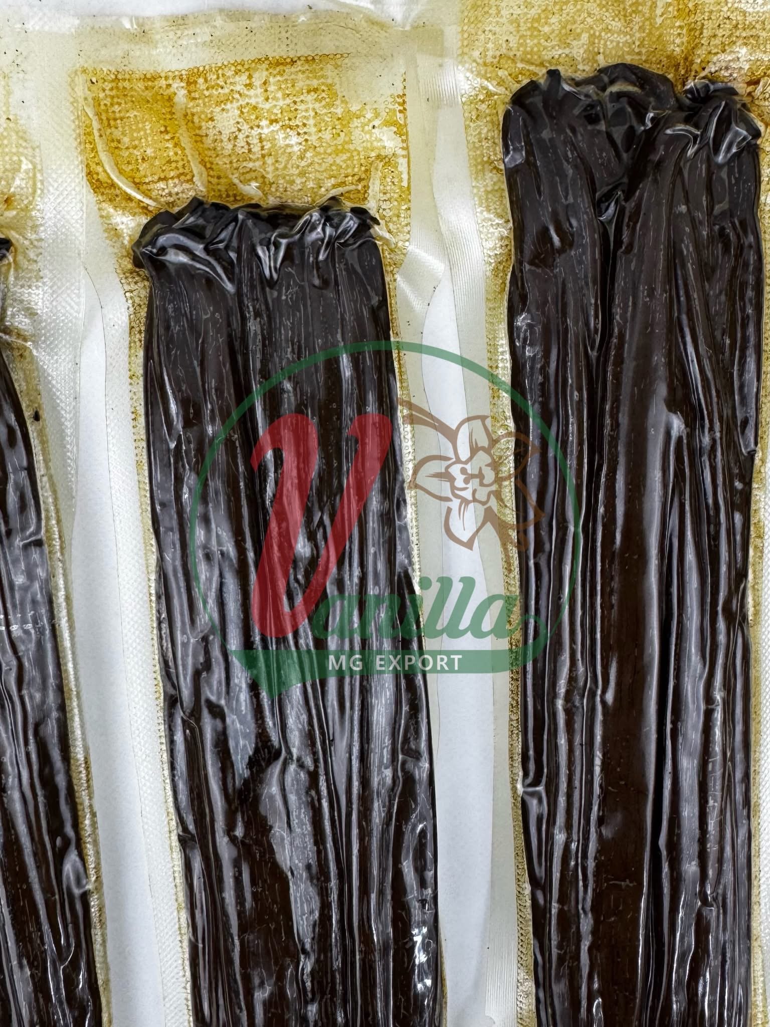 🤝 Pourquoi des clients du monde entier font confiance à Vanilla MG