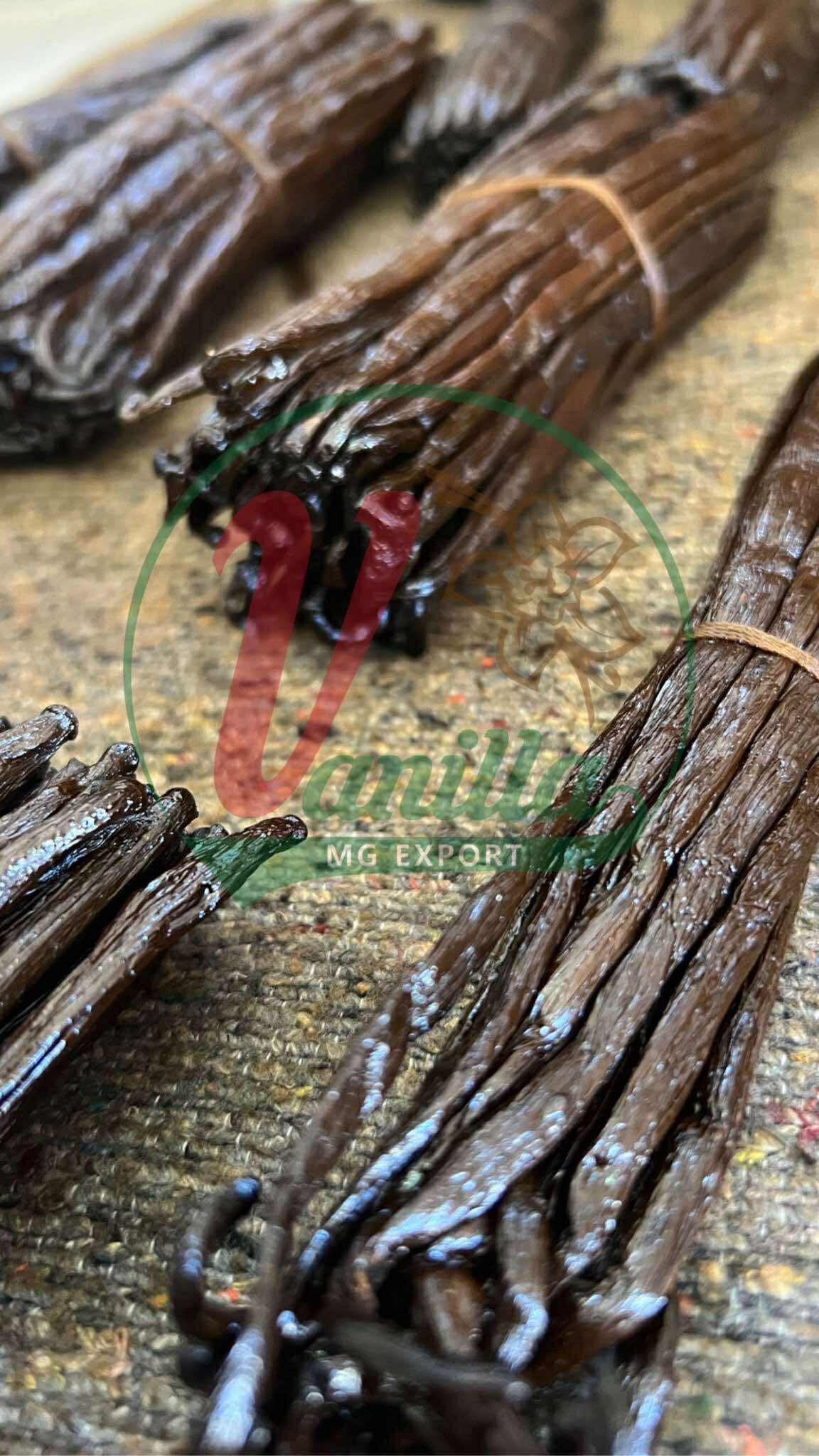 🌿 Pourquoi choisir Vanilla MG pour vos achats de vanille et d’épices de Madagascar ?