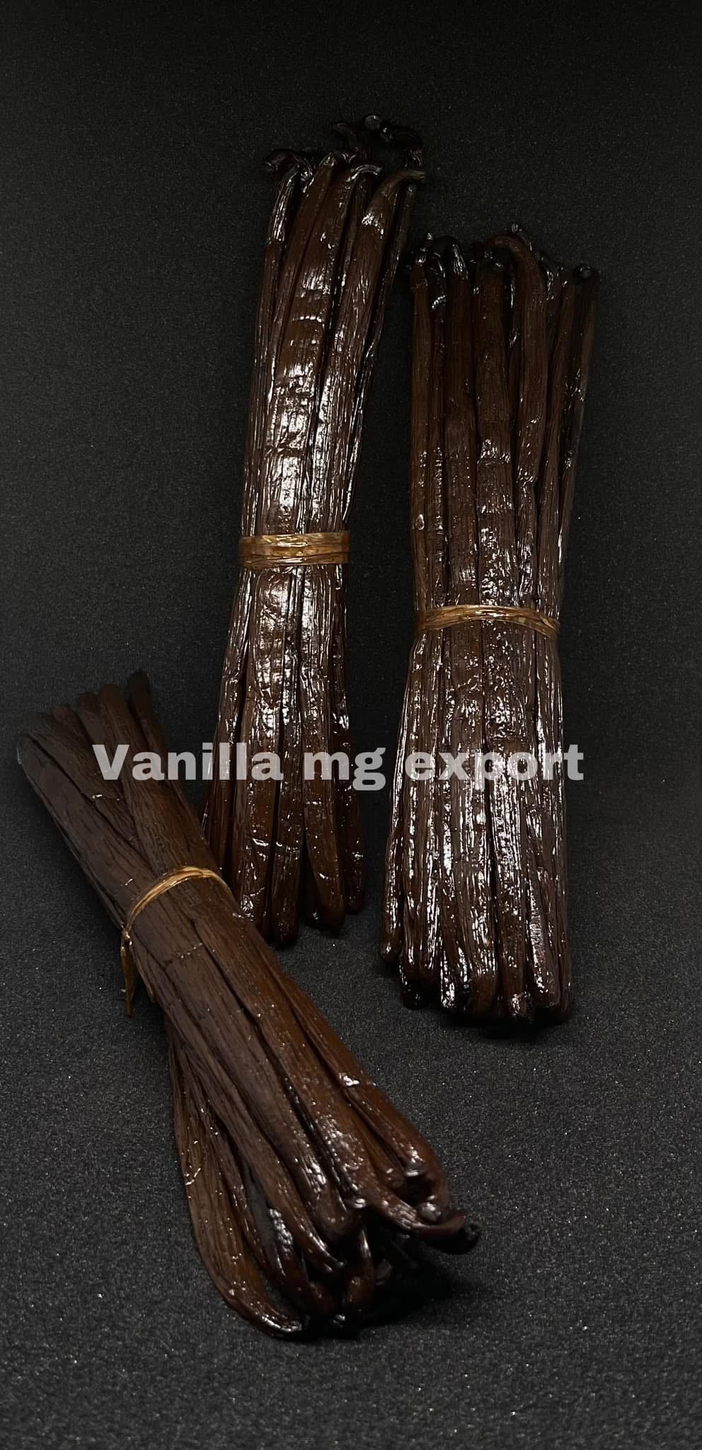 🌿 Le guide complet de l’importateur : réussir l’achat de vanille Bourbon de Madagascar