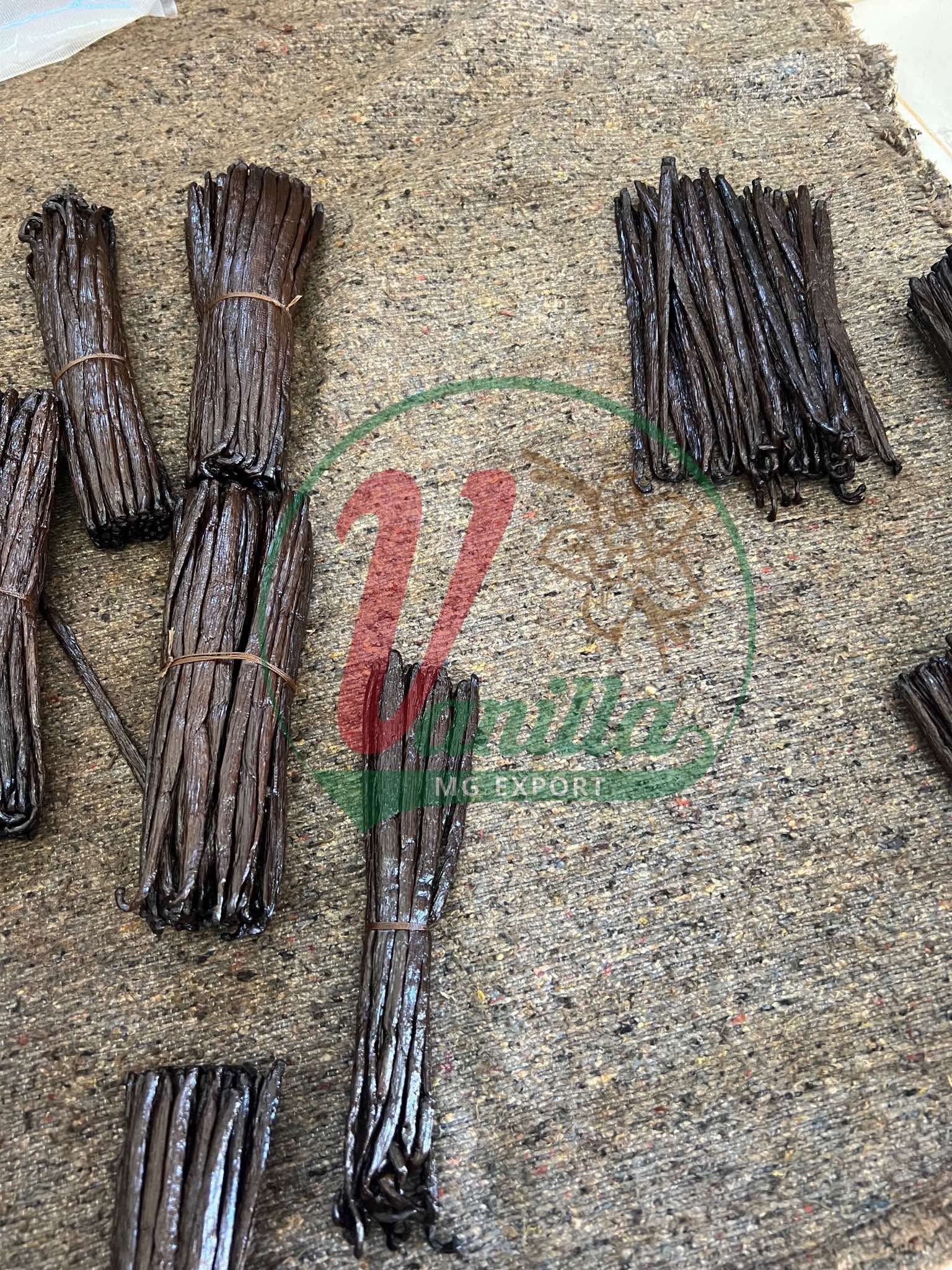 đż Pourquoi choisir Vanilla MG pour vos achats de vanille et dâĂ©pices de Madagascar ?