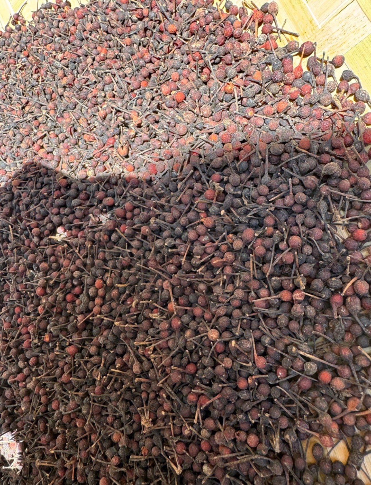 Poivre sauvage