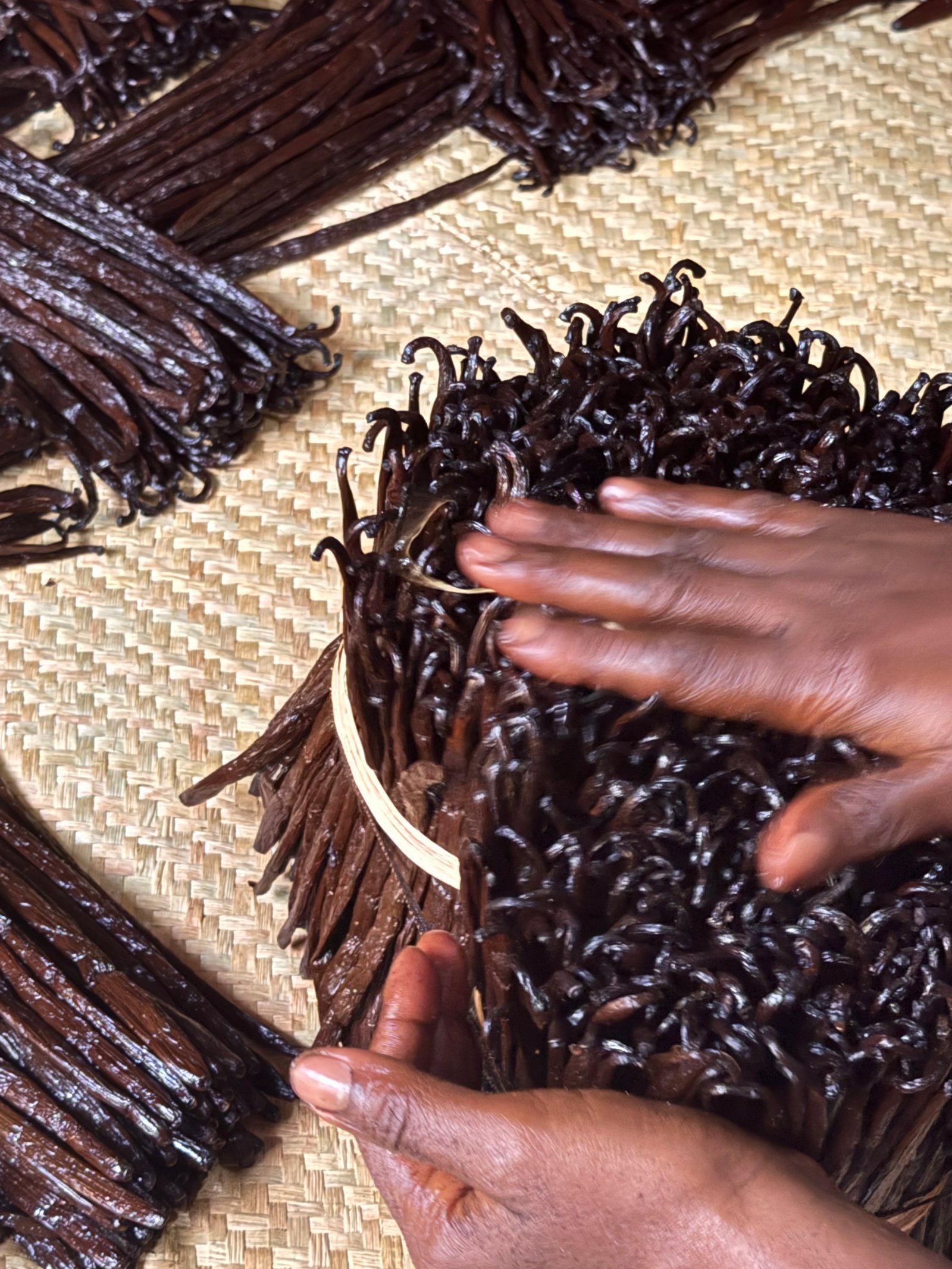 De Madagascar jusqu’à votre entreprise