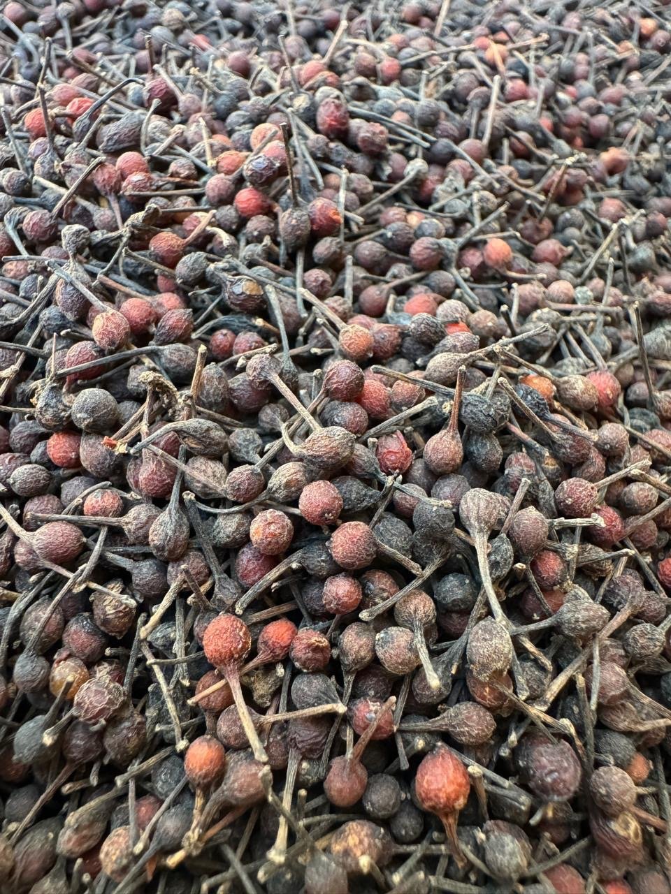 Poivre Sauvage Premium de Madagascar dit Voatsiperifery — photo 1