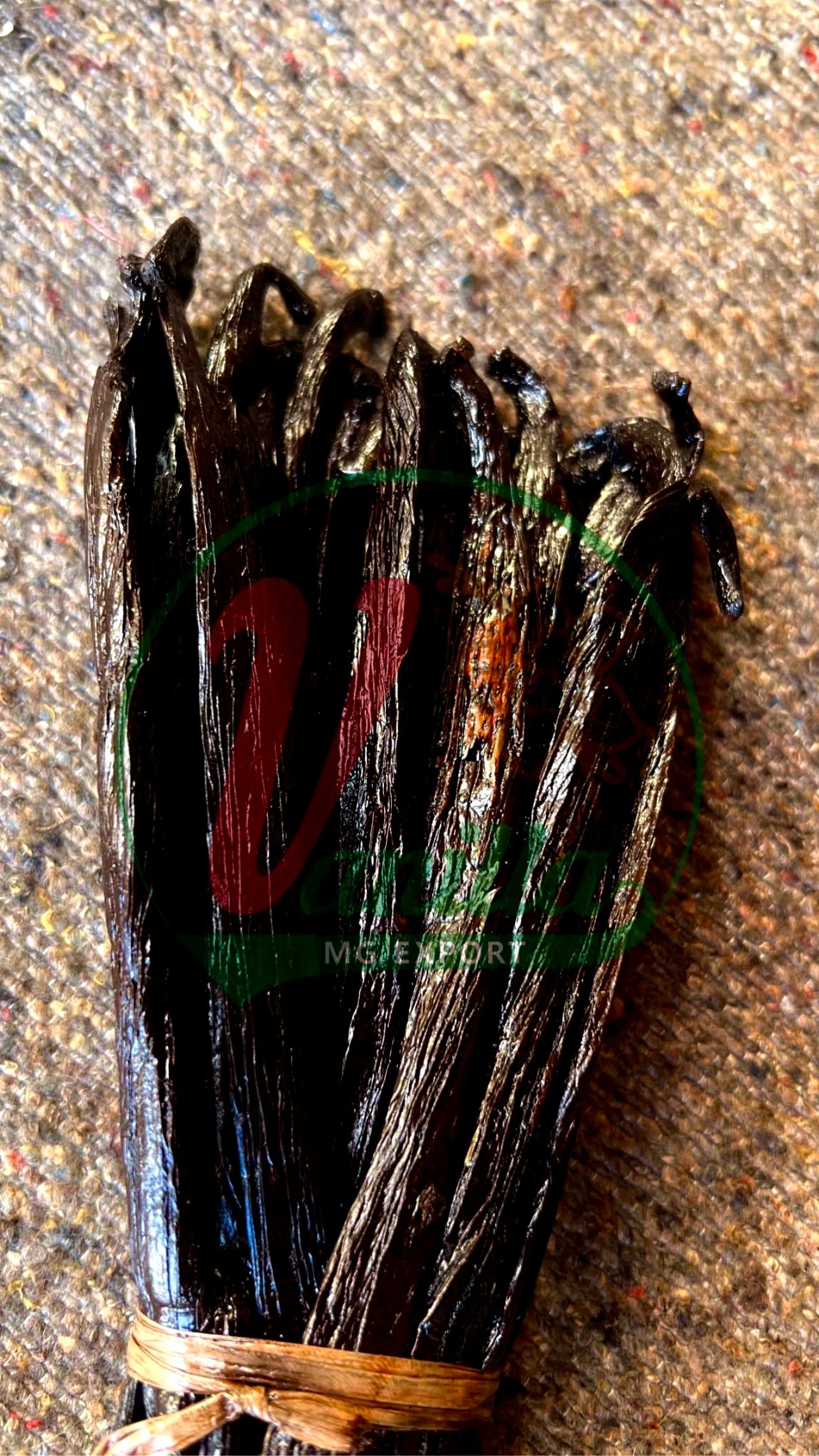 Vanille Pompona Premium 20 cm+ – Madagascar — photo 1