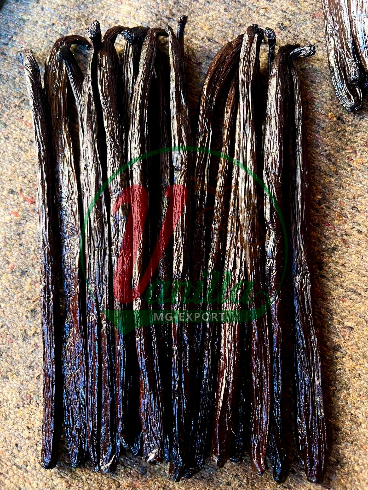Vanille Pompona Premium 20 cm+ – Madagascar — photo 2